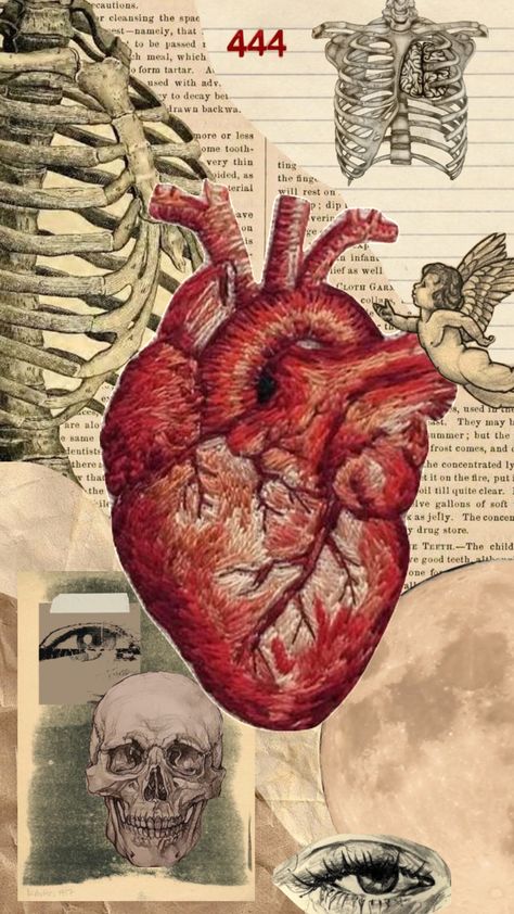 #moodboard #vintage #collage #aesthetic #red #hearts #heart #anatomy Heart Organ, Anatomical Heart Art, Heart Diagram, Heart Collage, Medical Wallpaper, Heart Anatomy, Arte Punk, Heart Poster, Human Anatomy Art