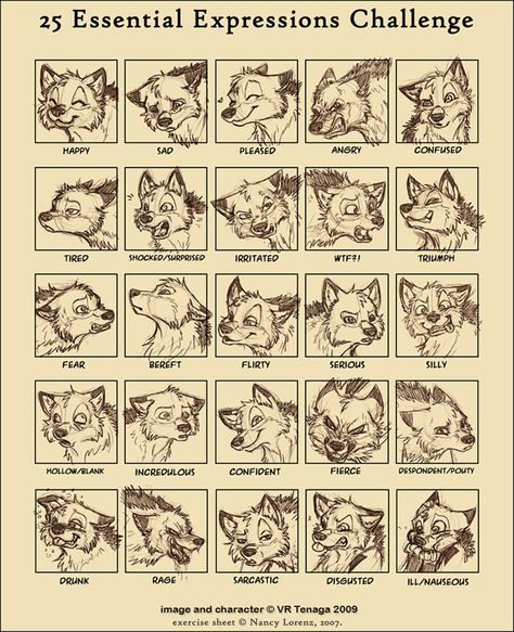 25 Expression Challenge: Kyros by Tenaga.deviantart.com on @deviantART Animal Facial Expressions Drawing, Anthro Facial Expressions, Confused Expression Drawing Reference, Dog Facial Expressions Drawing, Wolf Facial Expressions, Anthro Expression Reference, Confused Character Expression, Dog Expressions Drawing, Animal Facial Expressions