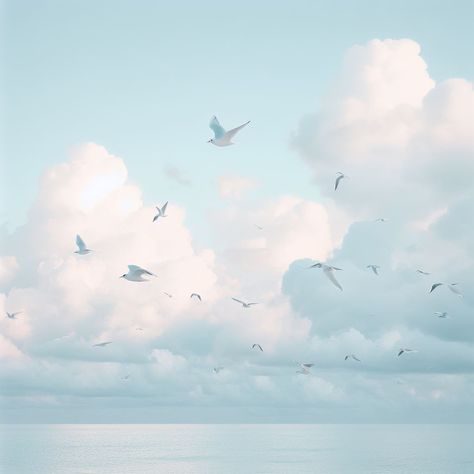 Seagulls flying in distance with cloudy sky over the sea square 1989 icon 1989 Lyrics Wallpaper, 1989 Widgets, 1989 Aesthetic, 1989 Taylors Version, Funny Cartoon Images, Aesthetic Widget, Light Blue Aesthetic, Taylors Version, Taylor Swift Posters