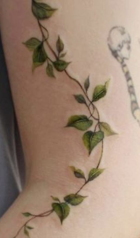 Poison Ivy Tattoo, Ivy Tattoo, Floral Back Tattoos, Green Tattoos, Vine Tattoo, Garden Tattoos, More Tattoo, Intricate Tattoo, Vine Tattoos