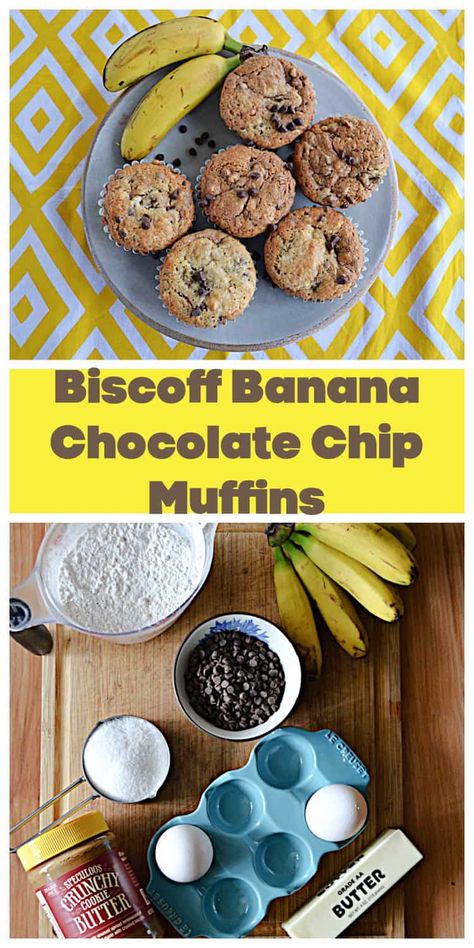 It's easy to make these Biscoff Banana Chocolate Chip Muffins! #muffins #cookiebutter #Biscoff | Biscoff Recipes | Cookie Butter Recipes | Muffin Recipes | Bread Recipes | Chocolate Recipes | Banana Bread Recipes Bread Recipes Chocolate, Cookie Butter Recipes, Banana Biscoff, Biscoff Banana, Recipes Banana Bread, Biscoff Recipes, Recipes Banana, Breakfast Muffin, Berry Muffins