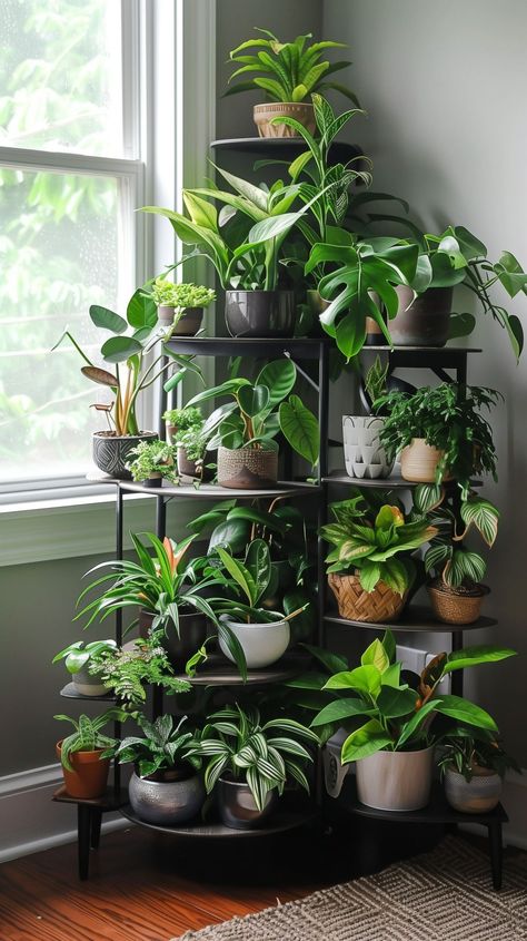 Diy Plant Stand Corner, Plant Displays Indoor, Dark Corner Decorating Ideas, Plant Corner Living Room, Indoor Plant Corner, Plant Display Indoor, Corner Plant Stand Indoor, Shelf Design Ideas, Corner Plant Stand