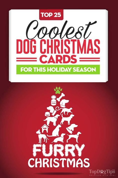 25 Cool and Unique Dog Christmas Cards for Pet Owners Dog Christmas Cards, Christmas Family Feud, Christmas Card Writing, Christmas Greetings Messages, Animals Jokes, Card Writing, Family Feud Game, Pet Christmas Cards, Christmas Card Sayings