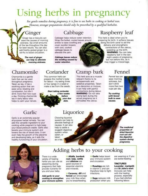 Herbs For Fertility Witchcraft, Herbs For The Womb, Herbs For Pregnant Women, Natural Birth Control Herbs, Herbal Contraceptive, Pregnancy Herbs, Herbs For Women, Holistic Pregnancy, Pregnancy Nutrition