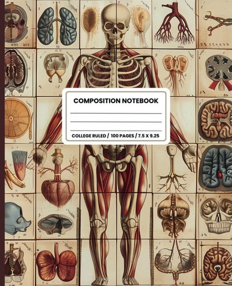 Composition Notebook College Ruled: Vintage Human Anatomy Medical Illustration. Skeleton Skull Bones Aesthetic: Publishing, Racing Bathtub: Amazon.com: Books Anatomy Books Aesthetic, Goodnotes Wallpaper, Journals Amazon, Anatomy Medical Illustration, Bones Aesthetic, Anatomy And Physiology Book, Goodnotes Paper, Aesthetic Journals, Book Journaling