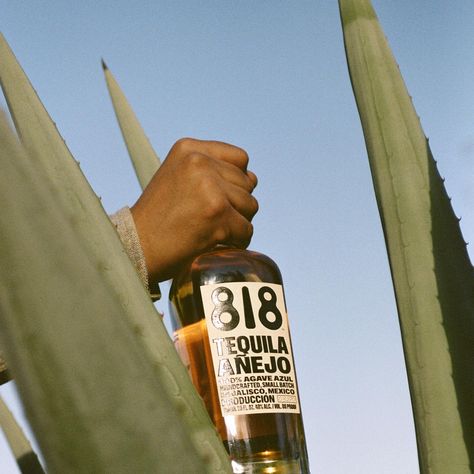 Tequila Product Photography, Tequila Photoshoot, Tequila Photography, Tequila Aesthetic, Tequila 1800, Agave Field, 818 Tequila, Counter Culture Coffee, Flower Branding