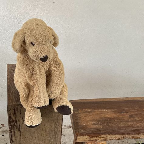 Ikea Dog, Ikea Doll, Dog Aesthetics, Doll Sitting, Dream Pet, Teddy Dog, Dog Doll, Doll Aesthetic, You Are Cute