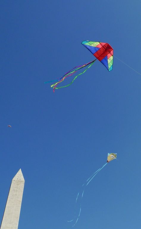 Box Kites, Japanese Kite, Kite Videos Festival, White Tailed Kite, Kite Shaped Necklace, Box Kite, Kite Installation, Kite Designs, Kite Festival