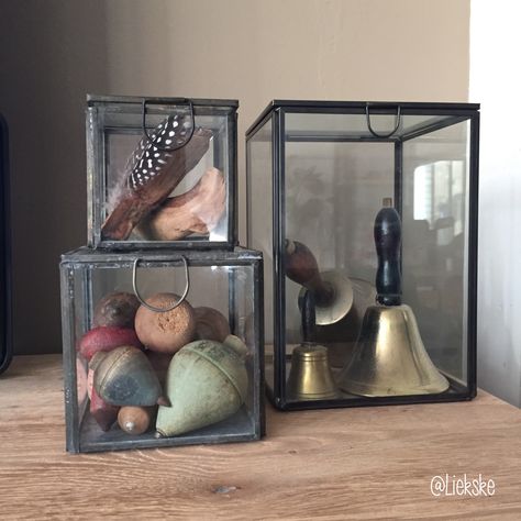 Decorating with glass decoboxes. Just a lovely display of odd bits ! Glass Display Box, Jar Collection, Glass Box, Display Cases, Ceramic Birds, Glass Boxes, Display Boxes, Glass Jar, Display Case