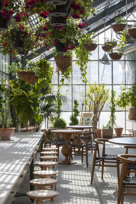 Restaurant Visit: Roy Choi's Commissary, Inside a Greenhouse in LA California Christmas, Plants Hanging, Boho Patio, Greenhouse Plants, Living Interior, Backyard Diy, Plants Nature, Gardening Flowers, Garden Cafe