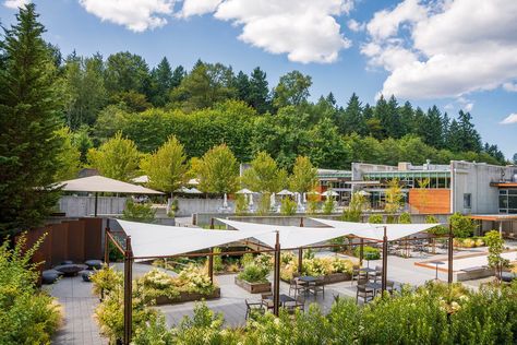 Want to Drink Washington State In a Single Weekend? Head to Woodinville Woodinville Wineries, Pacific Northwest Garden, Bellevue Washington, Mother's Day Activities, Metal Wine Rack, Hotel Plan, Wine Art, Outdoor Enthusiast, Wine Enthusiast