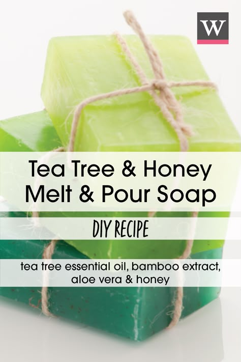 Our Tea Tree & Honey MP Soap builds its foundation on the natural wonders of tea tree oil, which may offer anti-inflammatory and antimicrobial properties. Sprinkle in some Honey Powder, and you’ll double down on Tea Tree’s skin soothing and germ fighting powers. This is the soap to defend your face! Tea Tree Soap Recipe, Tea Tree Oil Soap, Natural Soaps Recipes, Honey Powder, Honey Facial, Homemade Soap Bars, Mp Soap, Easy Soap Recipes, Diy Soap Recipe