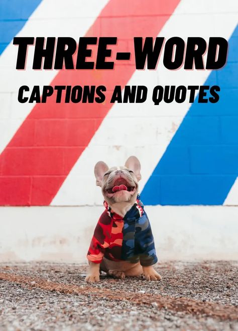 500+ Three-Word Quotes and Caption Ideas for Instagram - HubPages Three Words Captions, Word Captions, Call Quotes, Caption Ideas For Instagram, Three Word Quotes, Ideas For Instagram, Caption Ideas, Never Grow Old, Social Media Presence