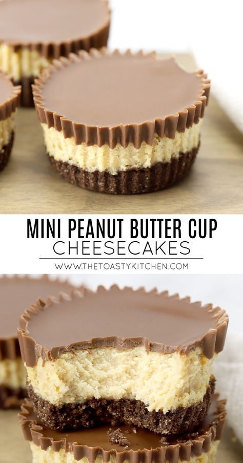 Peanut Butter Cheesecake Recipes, Chocolate Graham Cracker Crust, Peanut Butter Cup Cheesecake, Mini Cheesecake Recipes, Chocolate Crust, Chocolate Graham Crackers, Lost 100 Pounds, Cheesecake Desserts, Peanut Butter Cup