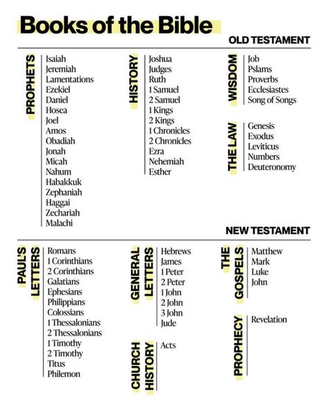 Book Of Matthew Bible Study, Matthew Bible Study, Book Of Nehemiah, Bible Writing, Matthew Bible, Inspire Bible, Book Of Matthew, Writing Plan, Revelation 1