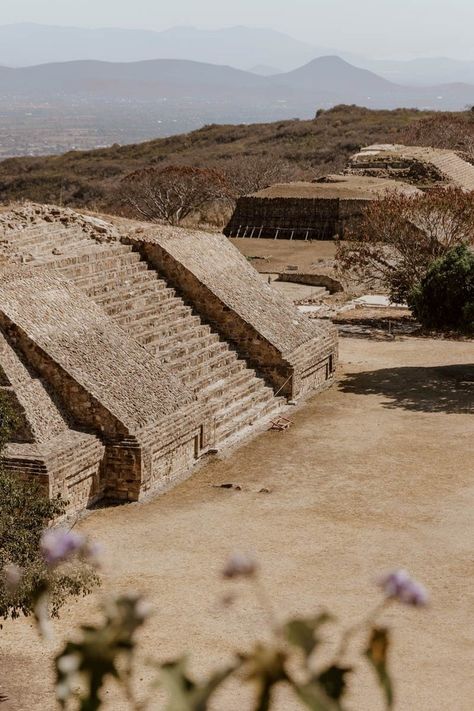 How To Visit Monte Alban From Oaxaca + Travel Tips — ALONG DUSTY ROADS Monte Alban Oaxaca, Oaxaca Travel, Monte Alban, Steep Staircase, Airbnb Host, Archaeological Site, Round Trip, Day Tours, Mexico City