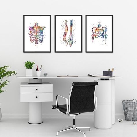 Chiropractic Wall Art, Anatomy art Set of 3 watercolor prints, Chiropractor office decor Art Anatomy, Watercolor Prints, Art Set Of 3, Cardboard Tube, Etsy Art, Anatomy Art, Chiropractic, Rib Cage, Art Gifts