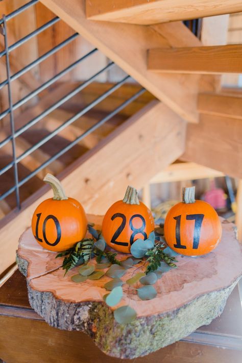 Wedding Decor Fall, Gazebo Wedding Decorations, Fall Engagement Parties, Fall In Love Bridal Shower, Diy Wedding Decor, Fall Barn Wedding, Fall Wedding Diy, Rustic Wedding Decorations, Wedding Thanks