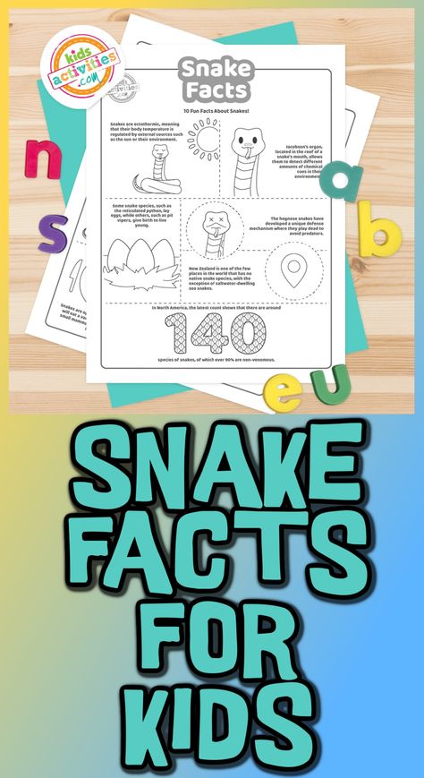 If you love snakes as much as we do, you're in luck! Here are 10 fun snake facts in two coloring pages to learn as you color. Snake Facts, Snake Crafts, Reticulated Python, Hognose Snake, Year Of The Snake, Snakes, If You Love, Fun Learning, Free Printables