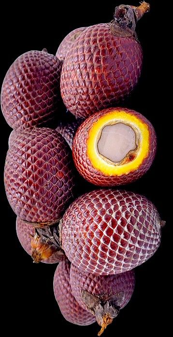 Aguaje Fruit Brazil Fruit, Abiu Fruit, Caribbean Fruits, Colombian Fruits, Guarana Antartica, Growing Fruit Trees, Fruit Wallpaper, Deep Red Color, Landscape Architecture Design