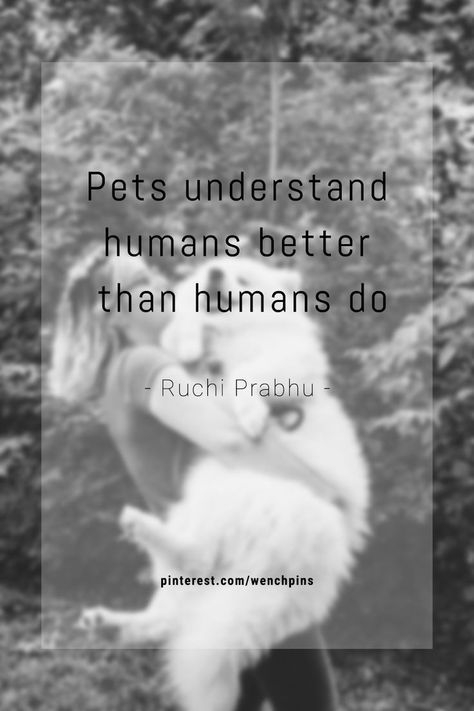 Pets understand humans better than humans do @Ruchi Prabhu | #pet #quotes #dog #love #pets #motivation #dogsofinstagram #inspiration #cute #life #puppy #quote #dogs #photography #petstagram #quoteoftheday #dogstagram #success #instagood #instadog #motivationalquotes #animal #art #animals #inspirationalquotes #doglover #quotestoliveby #cat #photooftheday #petsofinstagram Humans Quotes, Human Quotes, Pet Quotes Dog, Pet Quotes, Dogs Photography, Humanity Quotes, Discover Quotes, Need Motivation, Perfect Word