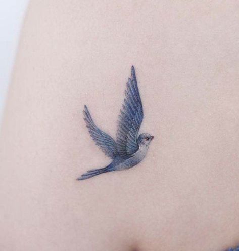 Red And Blue Bird Tattoo, Watercolor Bird Tattoos For Women, Disney Blue Bird Tattoo, Tiny Blue Jay Tattoo, Bluebird Tattoo Small Simple, Fine Line Blue Jay Tattoo, Small Blue Bird Tattoos For Women, Single Needle Bird Tattoo, Bird Simple Tattoo