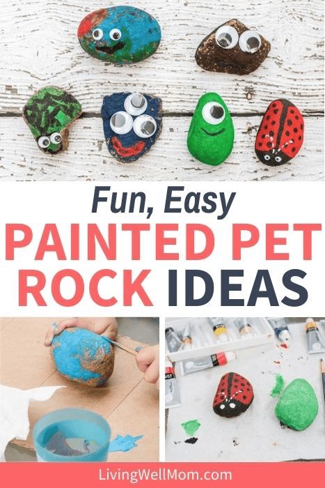 Fun, easy painted pet rock ideas. Pet Rock Ideas, Paw Crafts, Babysitting Crafts, Pet Rock, Creative Kids Crafts, Cool Art Projects, Paper Plate Crafts, Rock Ideas, Pet Rocks