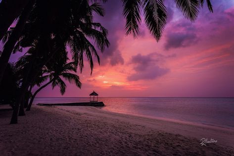 Pink Nature, Another Day In Paradise, Cute Laptop Wallpaper, The Palms, Sky Color, Beach Wallpaper, Pink Sunset, Sunset Landscape, Sunset Wallpaper