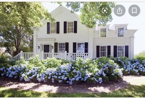 White House With Black Shutters, House With Black Shutters, Southern Landscape, Black Shutters, Yard Landscape, House Of Turquoise, Blue Hydrangeas, Real Estat, Casas Coloniales