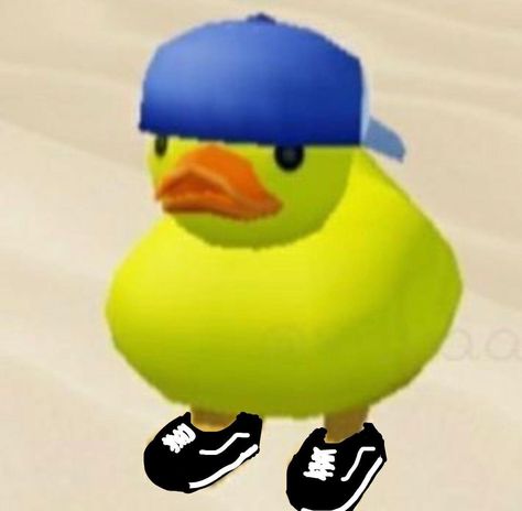 Duck Anime Pfp, Roblox Duck Pfp, Funny Insta Pfp, Duck Matching Pfp, Roblox Duck, Silly Matching Pfp, Yoshi Pfp, Goofy Icons, Pfp Meme