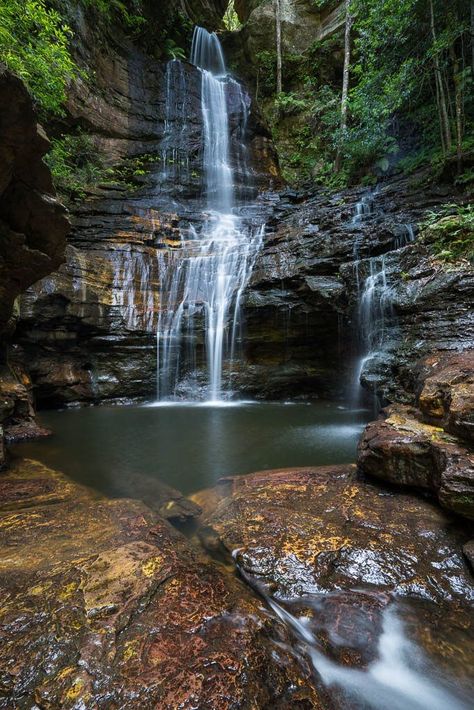 Autumn In Australia, Adventure Goals, Winter In Australia, Blue Mountains Australia, Mountain Vibes, Birds Chirping, Walking Trail, Mountain Waterfall, Vision Board Photos