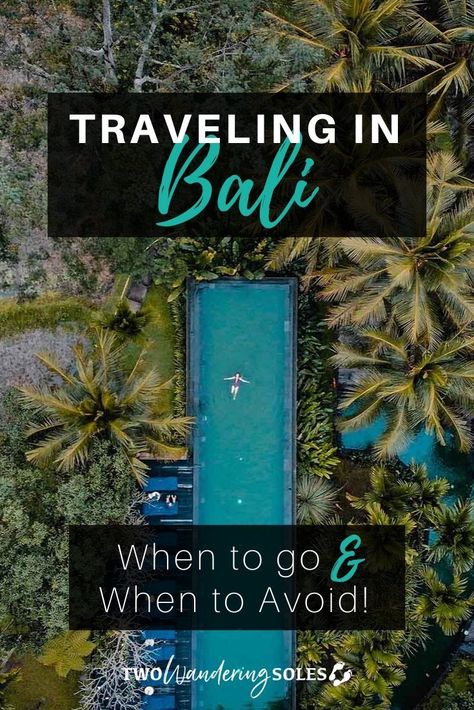 Bali makes an excellent destination for vacationers and digital nomads all year round. Each season has its own unique draws (and drawbacks too). But fear not…We’re going to go over the pros and cons of visiting Bali during each season to help you decide which time of year is ideal for YOU. Bali With Kids, Gili T, Visit Bali, Bali Trip, Bali Vacation, Travel Secrets, Bali Travel Guide, Southeast Asia Travel, Budget Travel Tips