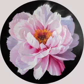 Dolce Peony Oil painting by Ira Volkova | Artfinder Ira Volkova Art, Dyi Painting, Peony Oil, Circle Canvas, Small Canvas Paintings, Flower Painting Canvas, Flower Art Images, 수채화 그림, Botanical Painting