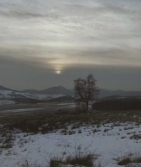 Dark Winter Aesthetic, Snow Field, Field Aesthetic, Pinterest Widget, Snowy Field, Wuthering Heights, Southern Gothic, Winter Aesthetic, Nature Aesthetic