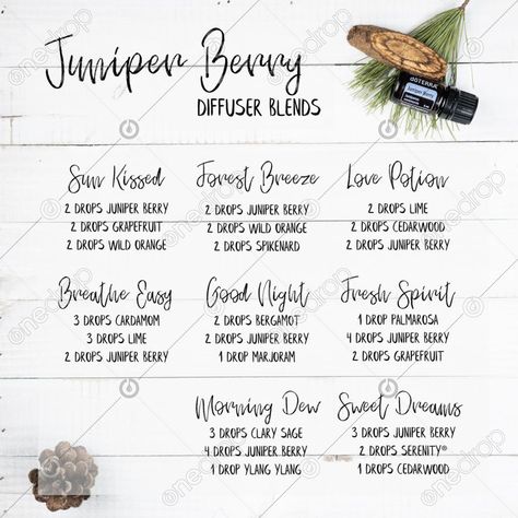 Juniper Oil, Juniper Essential Oil, Juniper Berry Essential Oil, Doterra Diffuser, Doterra Diffuser Blends, Essential Oil Combinations, Juniper Berry, Essential Oil Diffuser Blends, Oil Diffuser Blends