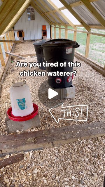 Chicken Watering Ideas, Water For Chicken Coop, Large Chicken Waterer, Diy Chicken Waterer, Chicken Watering System, Chicken Waterer Diy, Fancy Chicken Coop, Chicken Water Feeder, Chicken Waterer