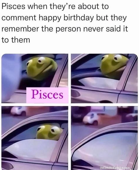 Pisces Memes Funny So True, Pisces Memes Funny, Pisces Music, Pisces Humor, Pisces Funny, Picies Zodiac, Pisces Season, Pisces Star Sign, Zodiac Signs Pictures