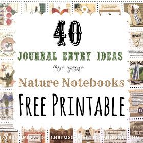 Journal Entry Ideas, Homeschooling High School, Homeschool Highschool, High School Electives, Study Together, Homeschool Nature Study, Forest School Activities, Nature Studies, Field Journal