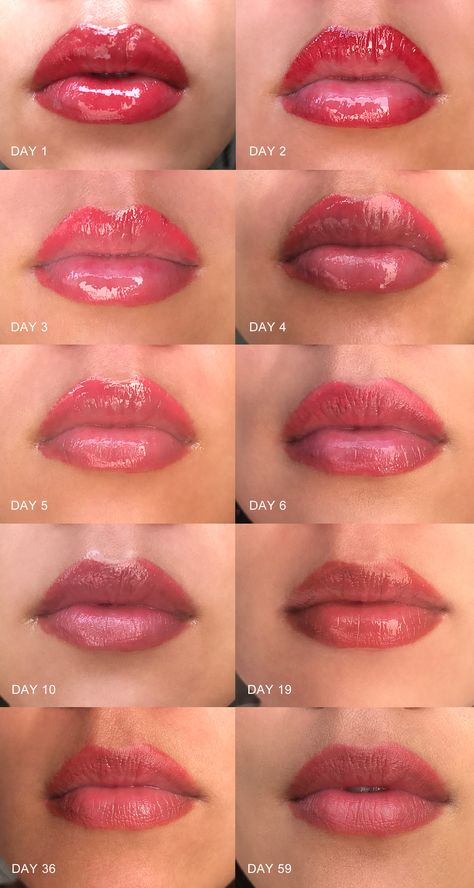 Permanent Makeup & Lip Tattoos: I Got My Lips Done (& Here's Why) - THE BALLER ON A BUDGET - An Affordable Fashion, Beauty & Lifestyle Blog Lip Blushing Color Chart, Lip Tattoo Healing Process, Lip Pigmentation Tattoo, Gum Piercing Upper, Pmu Lips Healing Process, Lip Blushing Tattoo Before And After Colors, Permanent Lip Color Tattoo, Lipblush Tattoo, Lip Blushing Tattoo Colors