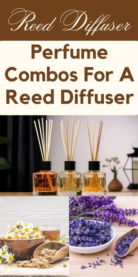 An Eco-Friendly and Budget-Friendly DIY Option
In this blog post, we will explore the wonderful world of DIY reed diffuser oils, focusing on eco-friendliness and budget-friendliness. Join us as we dive into the benefits of using eco-friendly options, the advantages of making your own reed diffuser oil, essential ingredients, a step-by-step guide, tips for an environmentally friendly approach, and some delightful DIY recipes to try. Essential Oil Reed Diffuser Recipes, Homemade Diffuser Oil Recipes, Essential Oil Products To Sell, Diy Reed Diffuser Oil Recipe, Diy Reed Diffuser Recipes, Diy Diffuser Oil, Diffuser Oil Recipes, Reed Diffuser Blends, Reed Diffuser Recipe