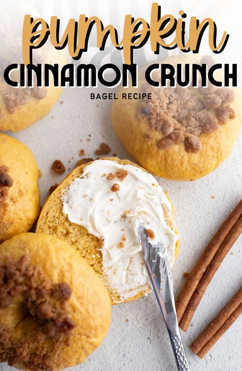 Pumpkin Cinnamon Crunch Bagels  - Cooking With Karli Pumpkin Spice Bagels, Bagels Flavors, Unique Bagel Flavors, Cinnamon Bagel Recipe, Christmas Bagels, Pumpkin Bagels Recipe, Pumpkin Spice Bagel Recipe, Cinnamon Crunch Bagel Recipe, Panera Bagels