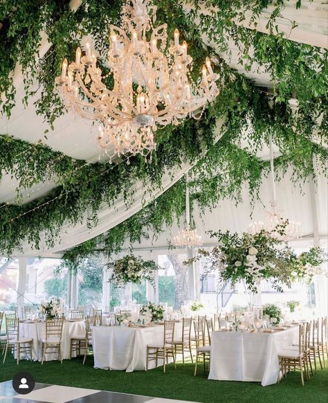 Floral Roof Installation Wedding, Wedding Greenery Ceiling, Floral Ceiling Installation, Draping Decor, Tent Draping, Event Draping, Reception Ceiling, Woodbine Mansion, Tent Decor