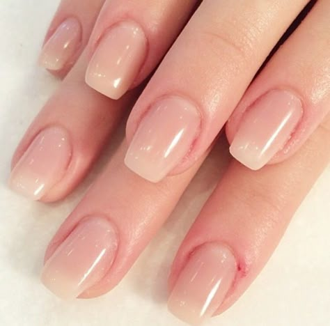 Hard gel extensions                                                                                                                                                                                 More Gel Clear Pink Nails, Realistic Gel Nails, Natural Gel Extensions Nails, Short Gel Extensions, Natural Gel Extensions, Hard Gel Overlay On Natural Nails, Short Gel Extension Nails, Short Hard Gel Nails, Clear Pink Gel Nails