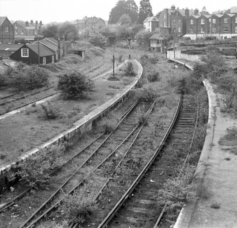 Filling the void: readers' photos on the theme of 'absence' Cowes Isle Of Wight, Abandoned Railway, Abandoned Railroad, London Underground Train, Modelling Ideas, Steam Trains Uk, Abandoned Train Station, Derelict Places, Disused Stations