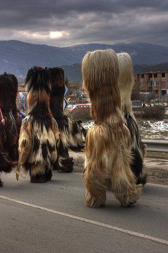 “Kukeri are elaborately costumed Bulgarian men who perform traditional rituals intended to scare away evil spirits.” Charles Freger, Animal Costumes, Pop Design, Evil Spirits, People Of The World, 영감을 주는 캐릭터, World Cultures, Eastern Europe, Anthropology