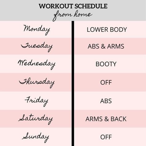 Best Workout Schedule, Daily Workout Schedule, Beginner Workout Schedule, Home Workout Schedule, Gym Schedule, Weekly Workout Schedule, Workout Program Gym, Beginner Workouts, Weekly Workout Plans