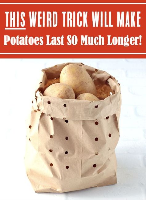 Food Storage Ideas Storing Fresh Potatoes, Potato Storage Container, Storing Potatoes Without A Cellar, Ways To Store Potatoes, Preserve Potatoes Food Storage, How To Store Potatoes In Pantry, How To Store Fresh Potatoes, How To Store Sweet Potatoes Long Term, Preserving Potatoes Food Storage