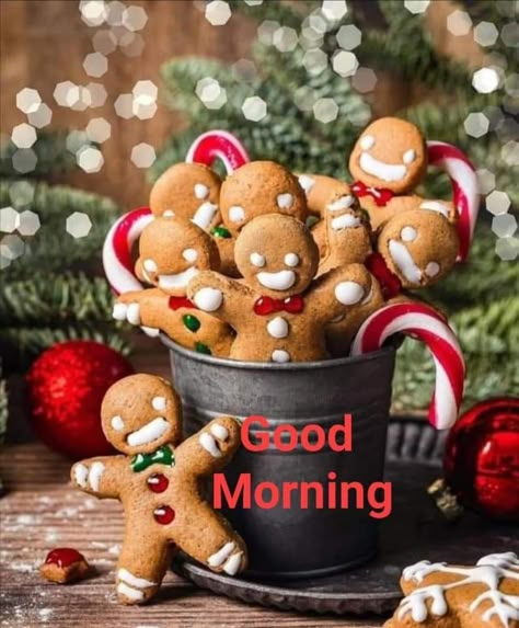 December Good Morning, Good Morning Picture Messages, Good Morning Christmas, Good Morning Winter, Good Morning Image, Happy Day Quotes, Latest Good Morning, Good Day To You, Good Morning Saturday