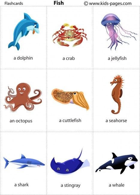 Animals Flashcards - It's fun to learn Different Types Of Sea Animals, Ocean Flashcards, Animals Flash Cards Free Printable, Ocean Animal Flashcards, Animal Flashcards, Learning English For Kids, English Vocab, Kids Pages, Flashcards For Kids