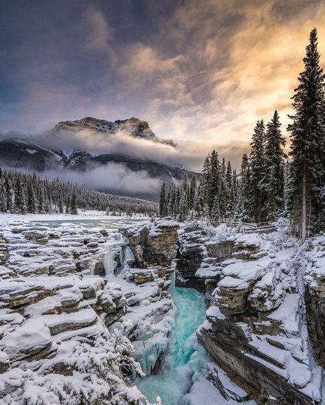 Athabasca Falls is a waterfall in Jasper National Park on the upper Athabasca River, approximately 30 kilometres (19 mi) south of the townsite of Jasper, Alberta, Canada, and just west of the Icefields Parkway. 📷@branden.kolada Authentic Pics, Alberta Photography, Night Sister, Good Night Sister, Jasper Canada, National Park Photography, Jasper Alberta, Icefields Parkway, Mountain Waterfall